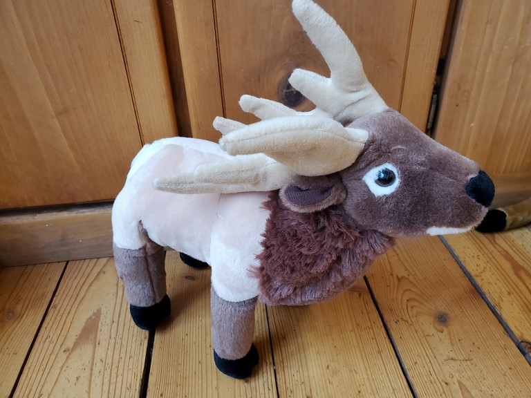 plush elk